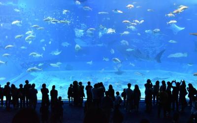 Aquarium besuchern mit Kindern