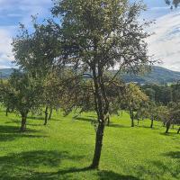 Lebensraum Streuobstwiese: ein „Hotspot“ der Artenvielfalt