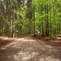 Waldbaden für Kinder und ihre Eltern - das grüne Wunder