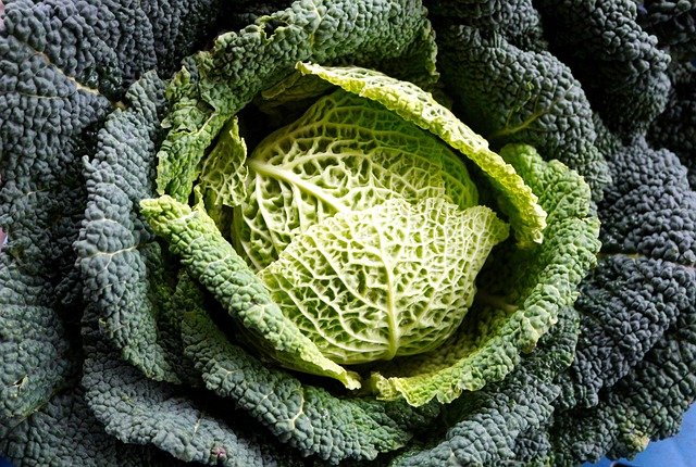 Kohltouren (Grünkohlessen): Tradition in Oldenburg & Bremen