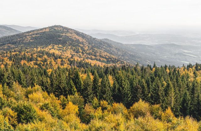 Landkreis Deggendorf